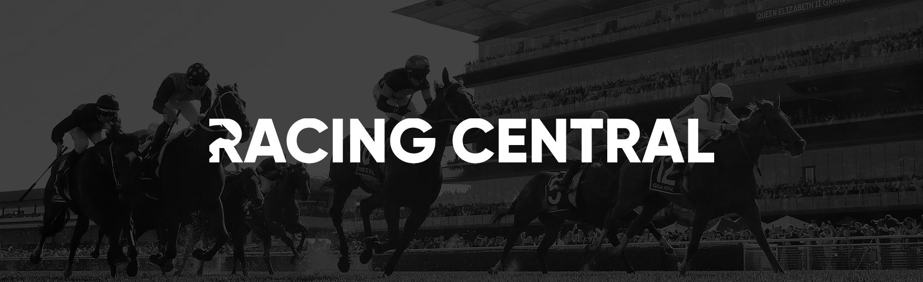 Champion Stakes Day Review